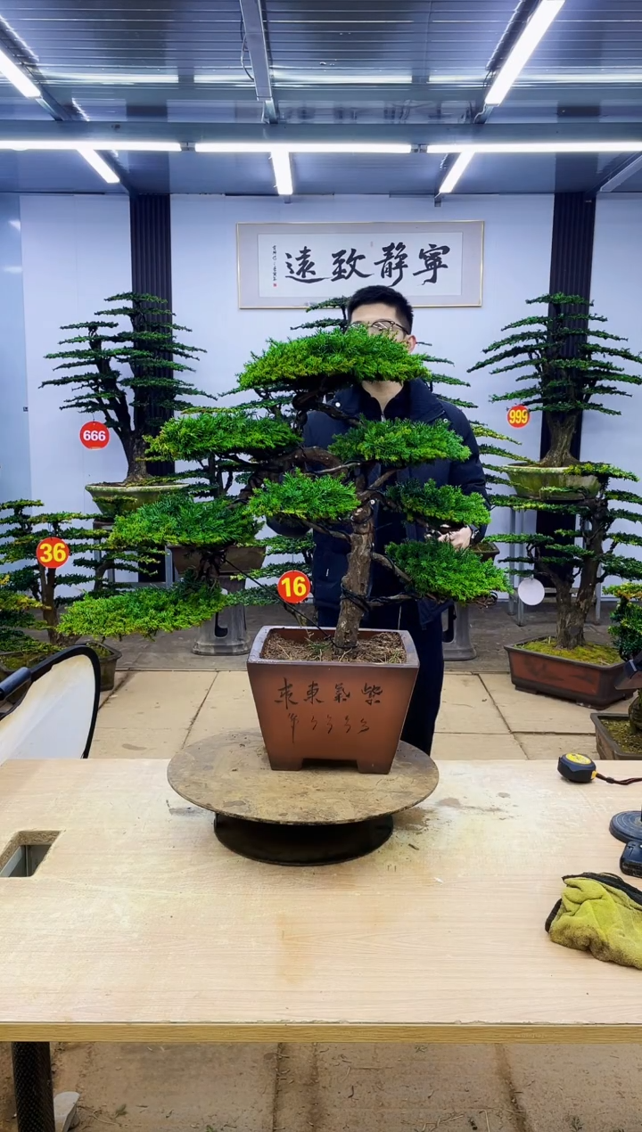 无花朵心****m000000000000000