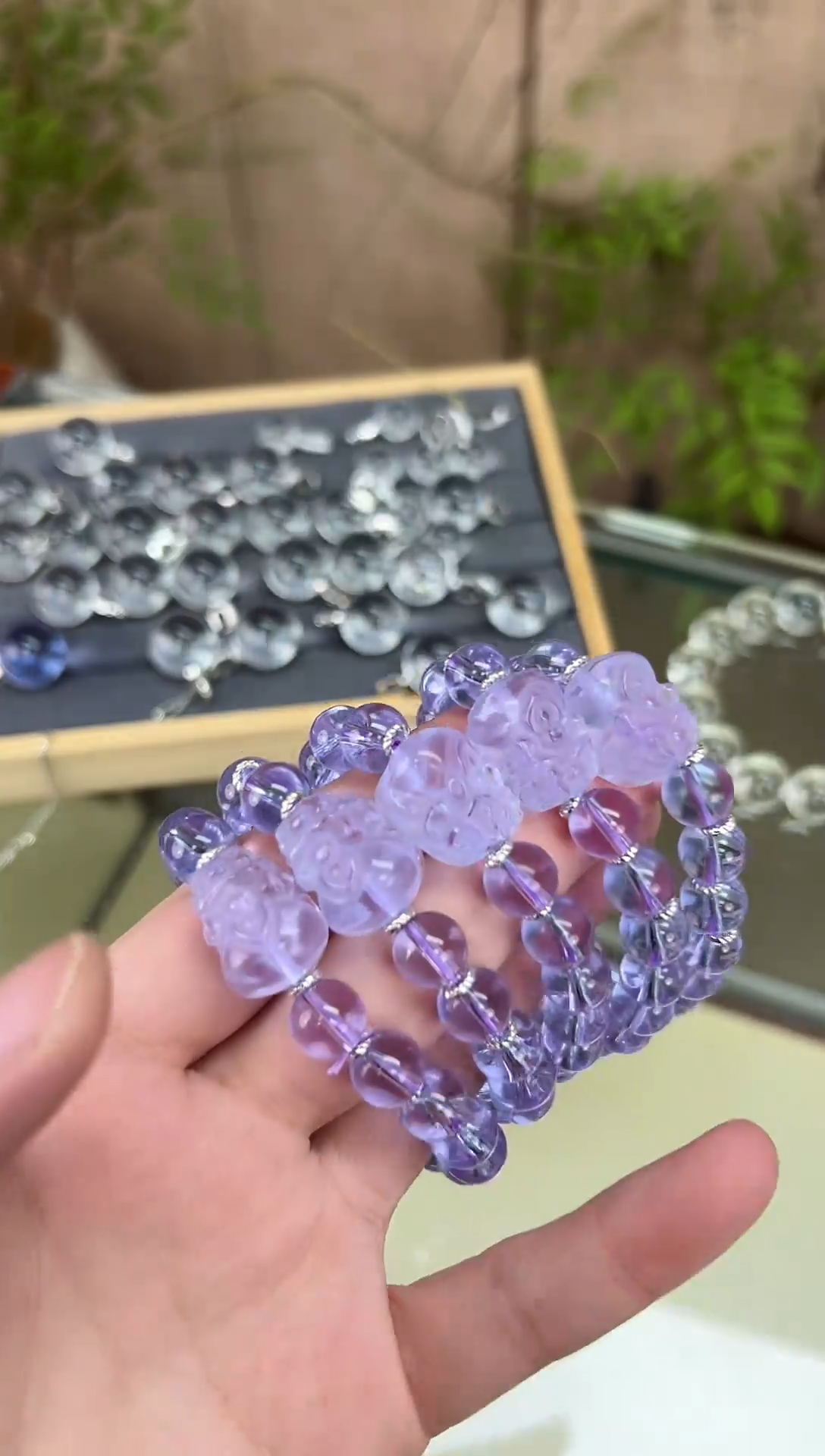 主播推荐玻利维亚紫貔貅