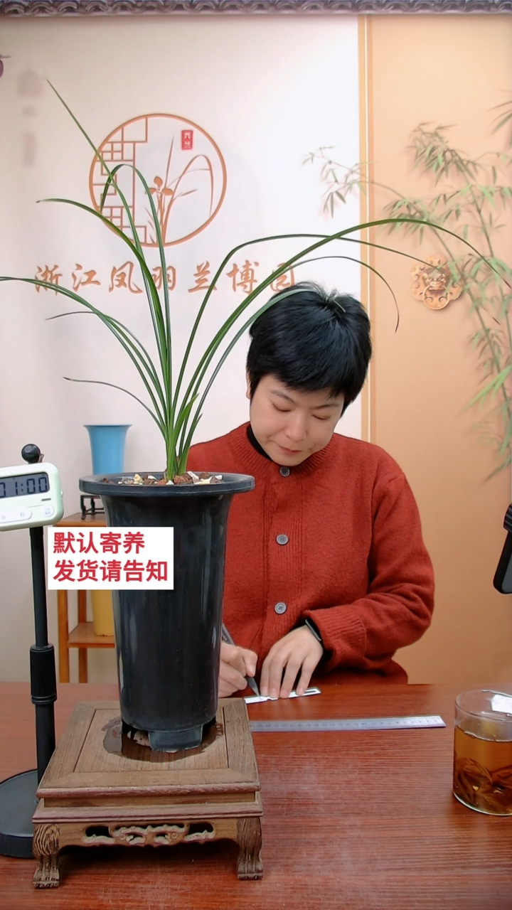 【闪购商品】老上海，霞客行