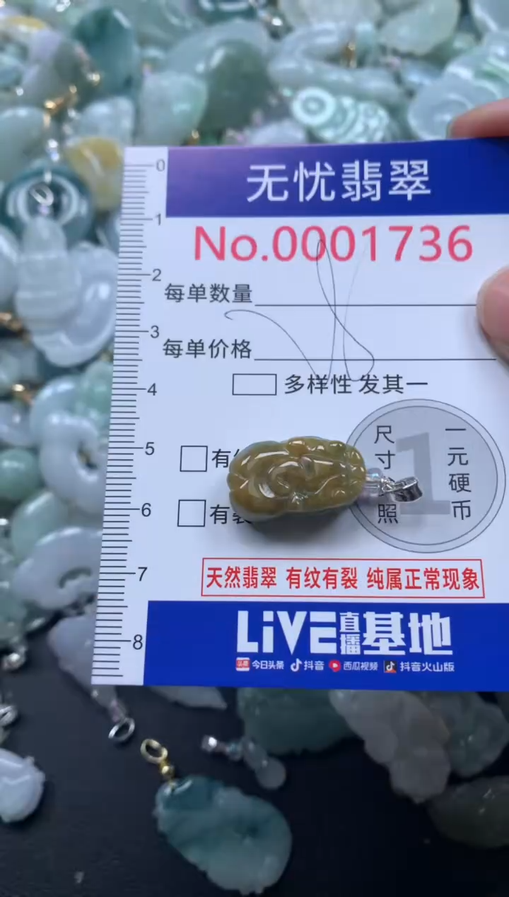 颈饰未镶嵌翡翠1736
