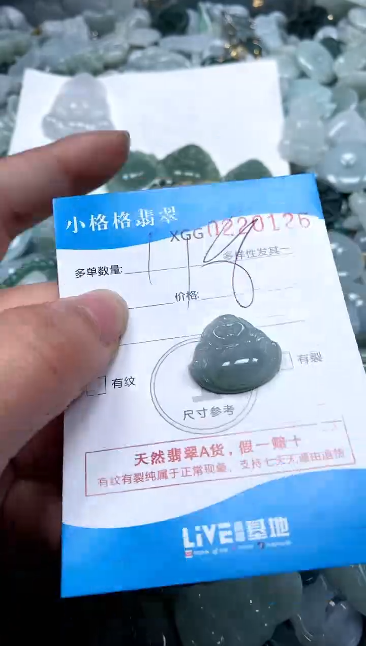 【闪购商品】翡翠颈饰未镶嵌闪购商品0220126