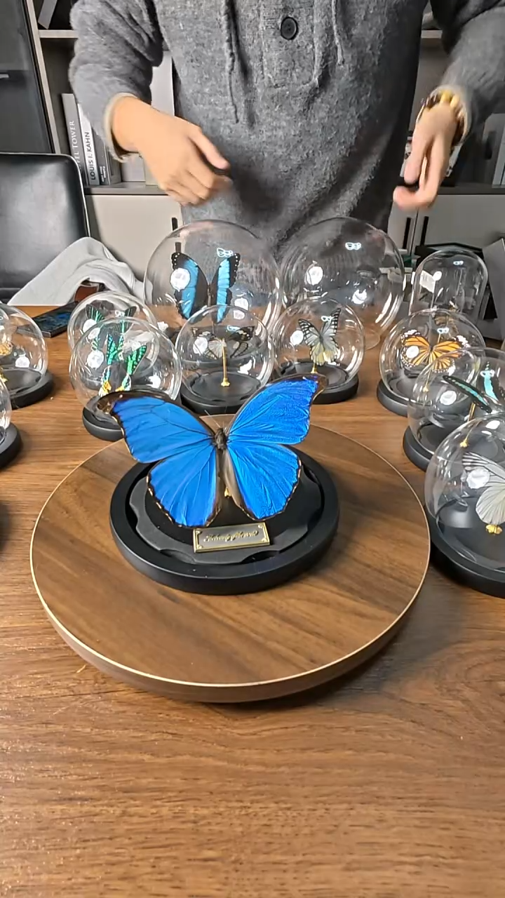 大蓝闪蝶水晶球标本