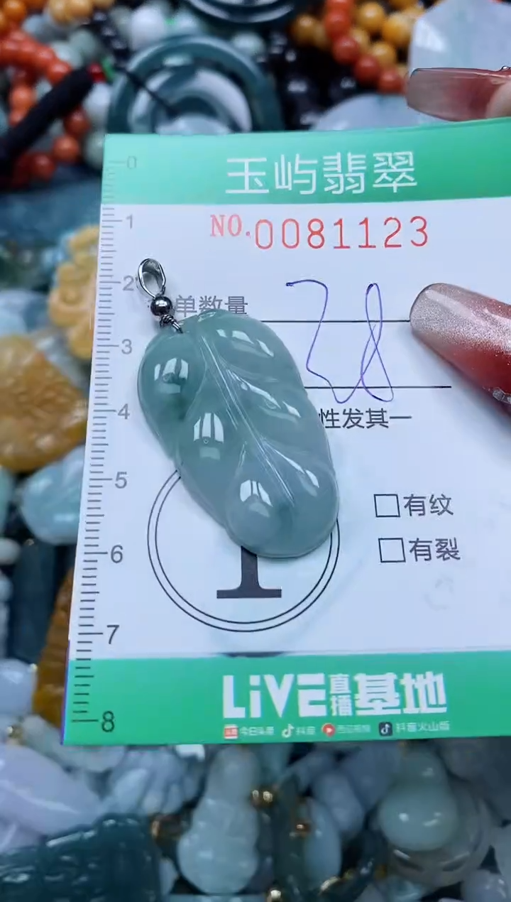 【闪购商品】翡翠颈饰未镶嵌闪购0081123