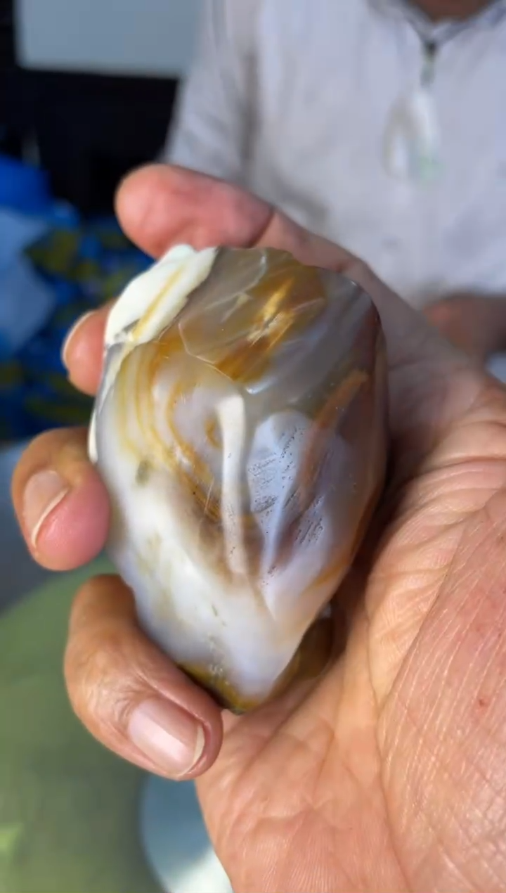 未镶嵌摆件硅化玉85