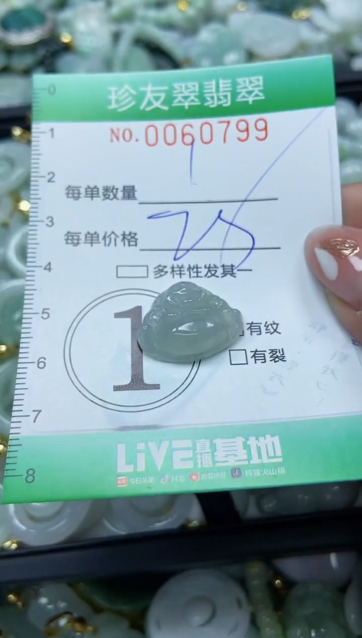 【闪购商品】翡翠颈饰未镶嵌闪购0060799