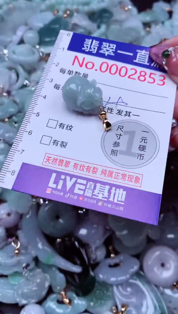 吊坠(不含链)未镶嵌翡翠2853