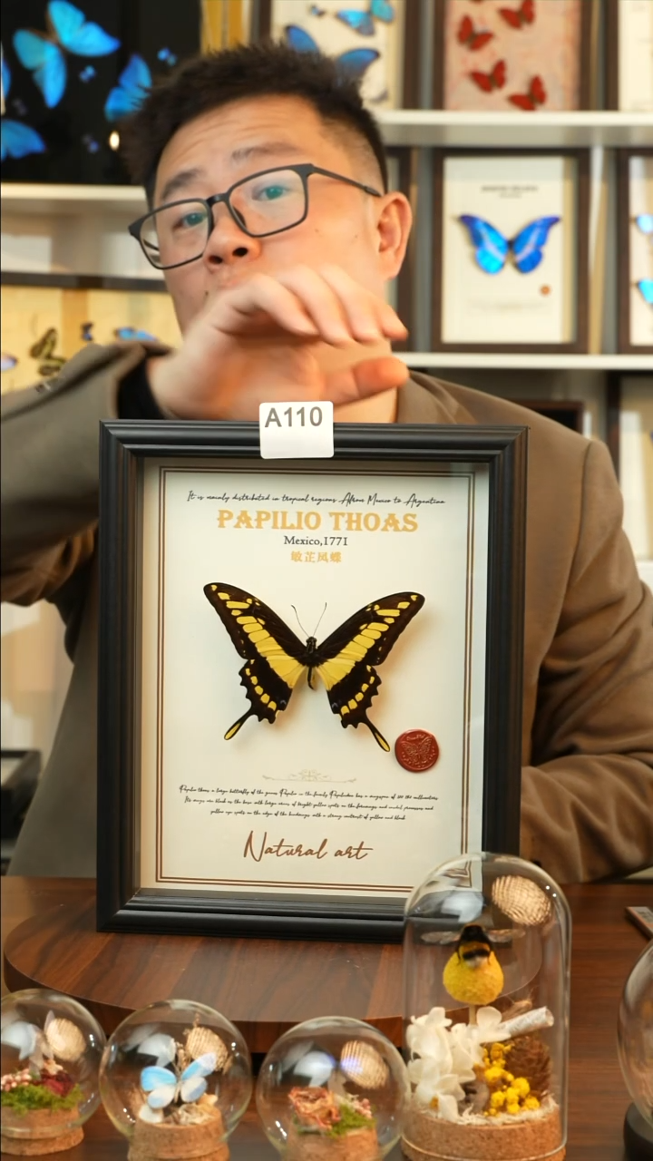 敏芷凤蝶-英文（10寸欧式黑框）A110