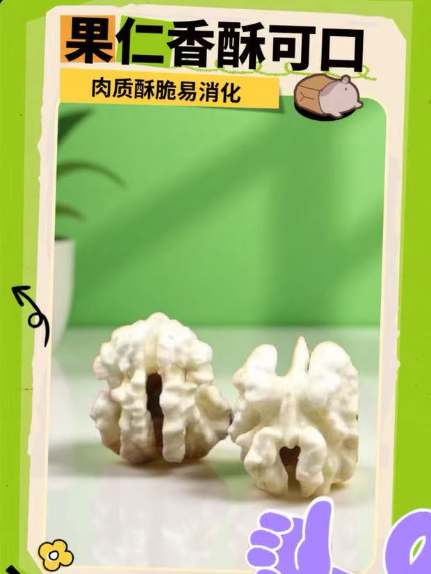 四川大凉山老树高山新鲜湿核桃香甜鲜嫩孕妇可食