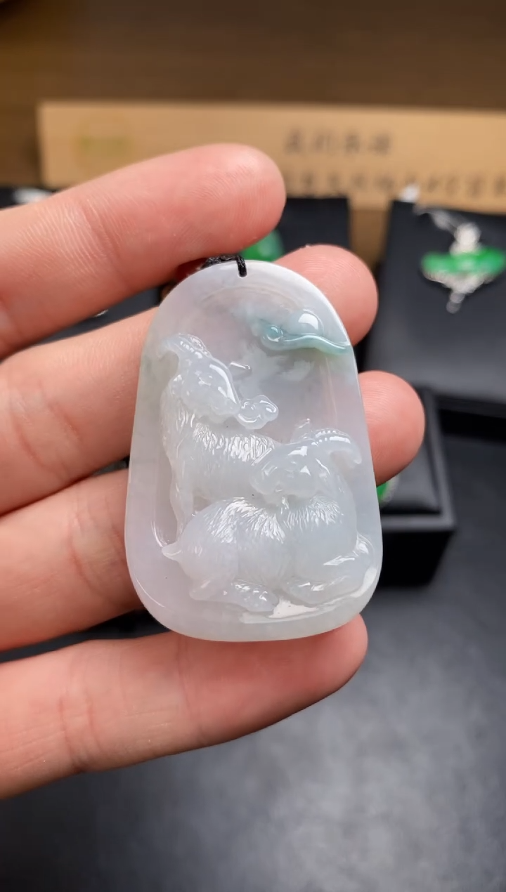 【闪购商品】翡翠颈饰未镶嵌翡翠