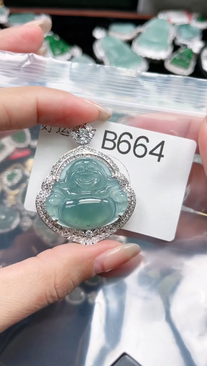 【闪购商品】翡翠颈饰未镶嵌赠皮绳664