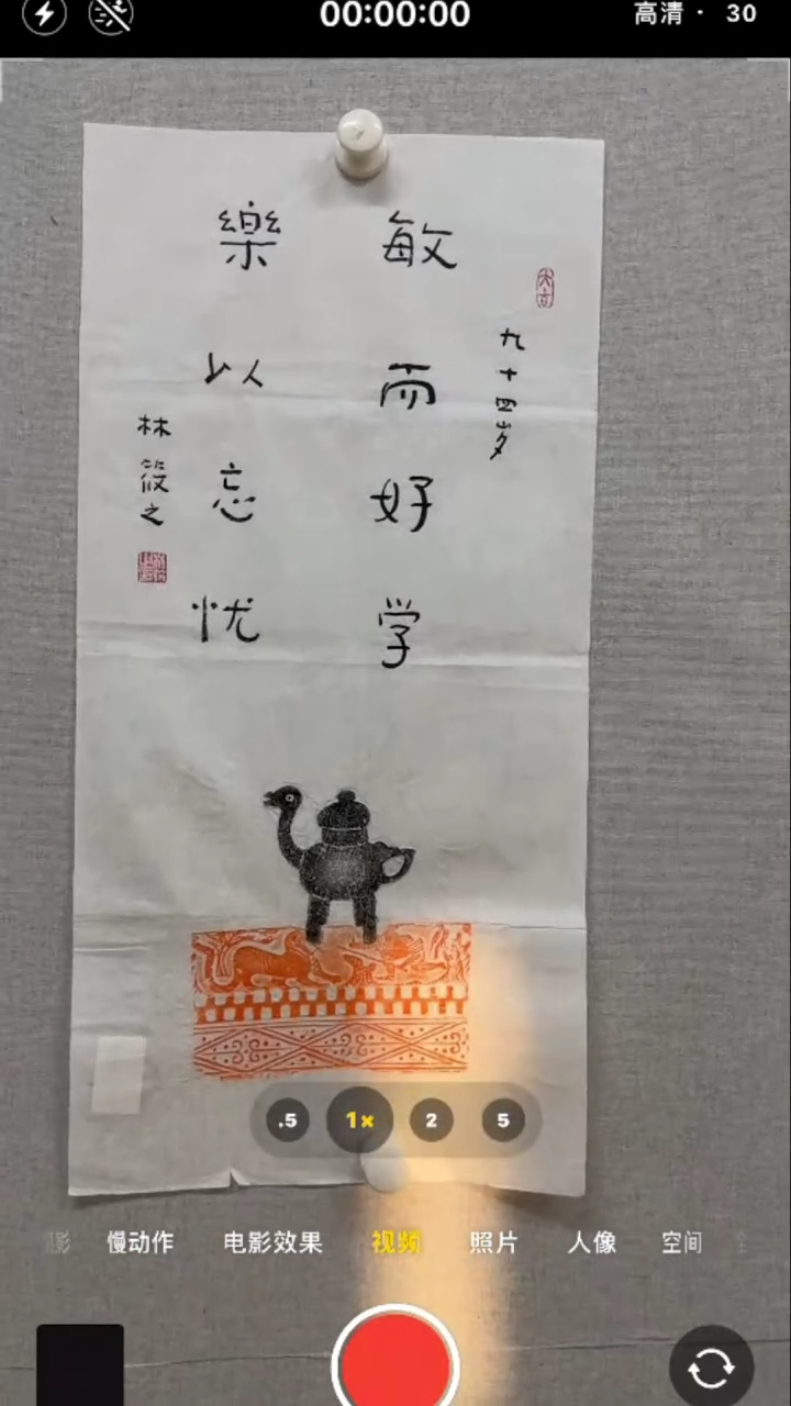 【闪购商品】书法-绘画-林筱之-2平尺精品书法