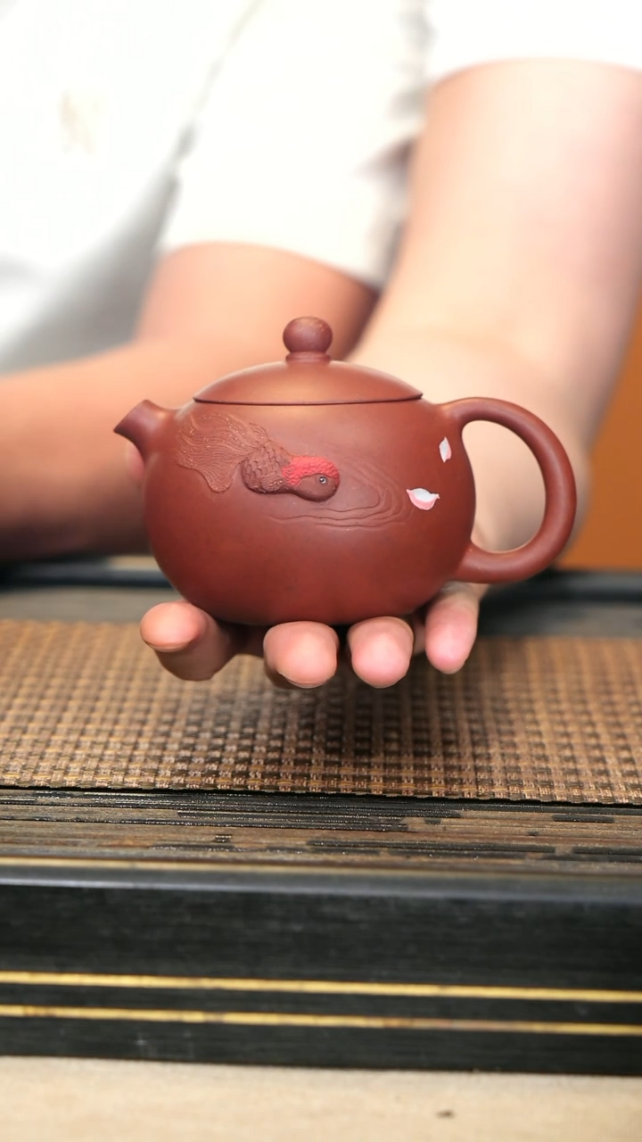 LJY66《金鱼西施》黑疾星