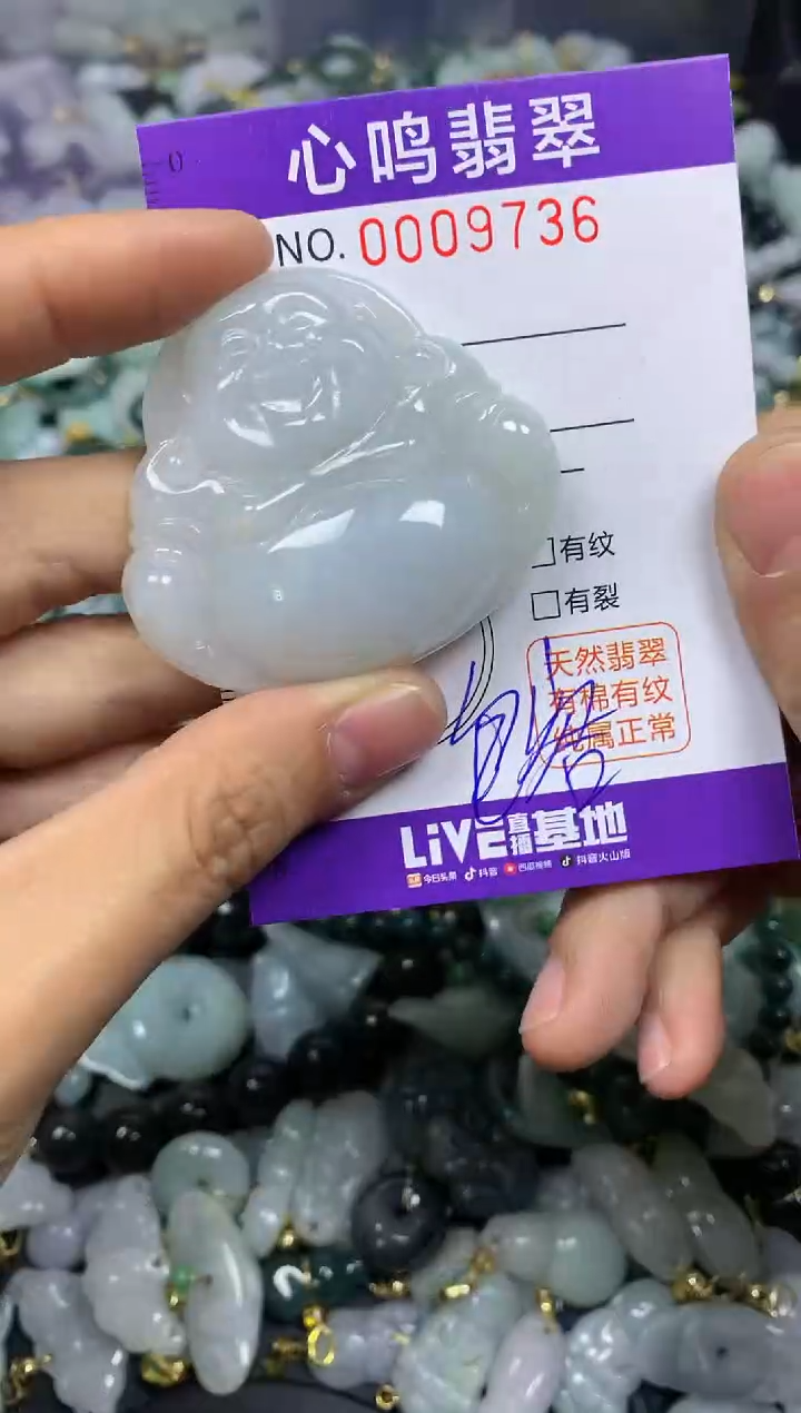 【闪购商品】翡翠颈饰未镶嵌闪购009736