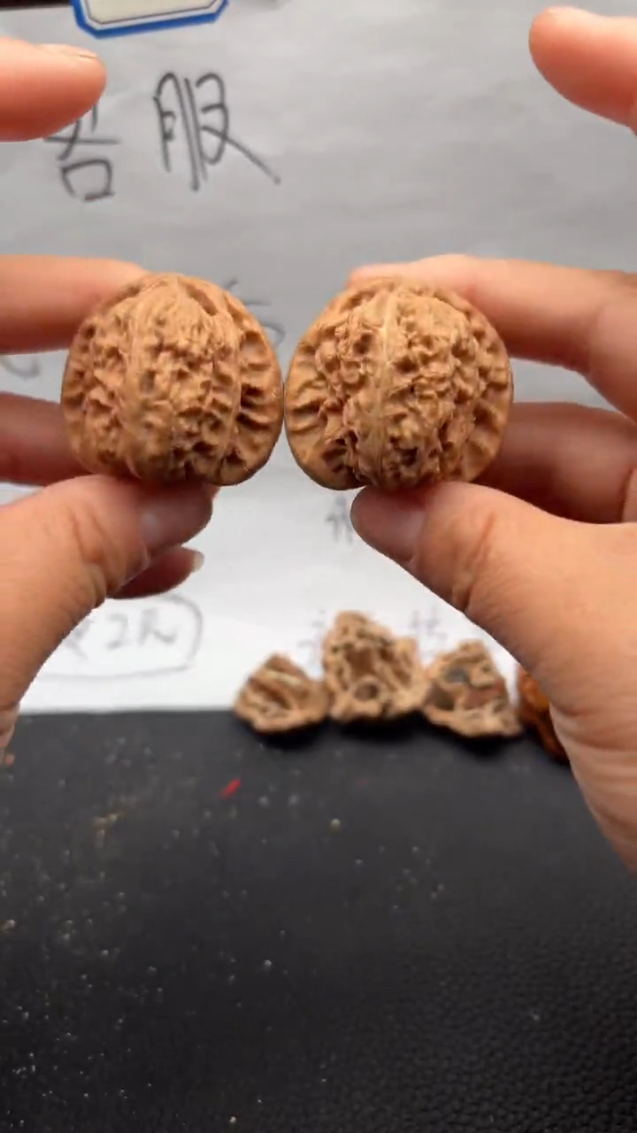 把件文玩核桃445白狮子