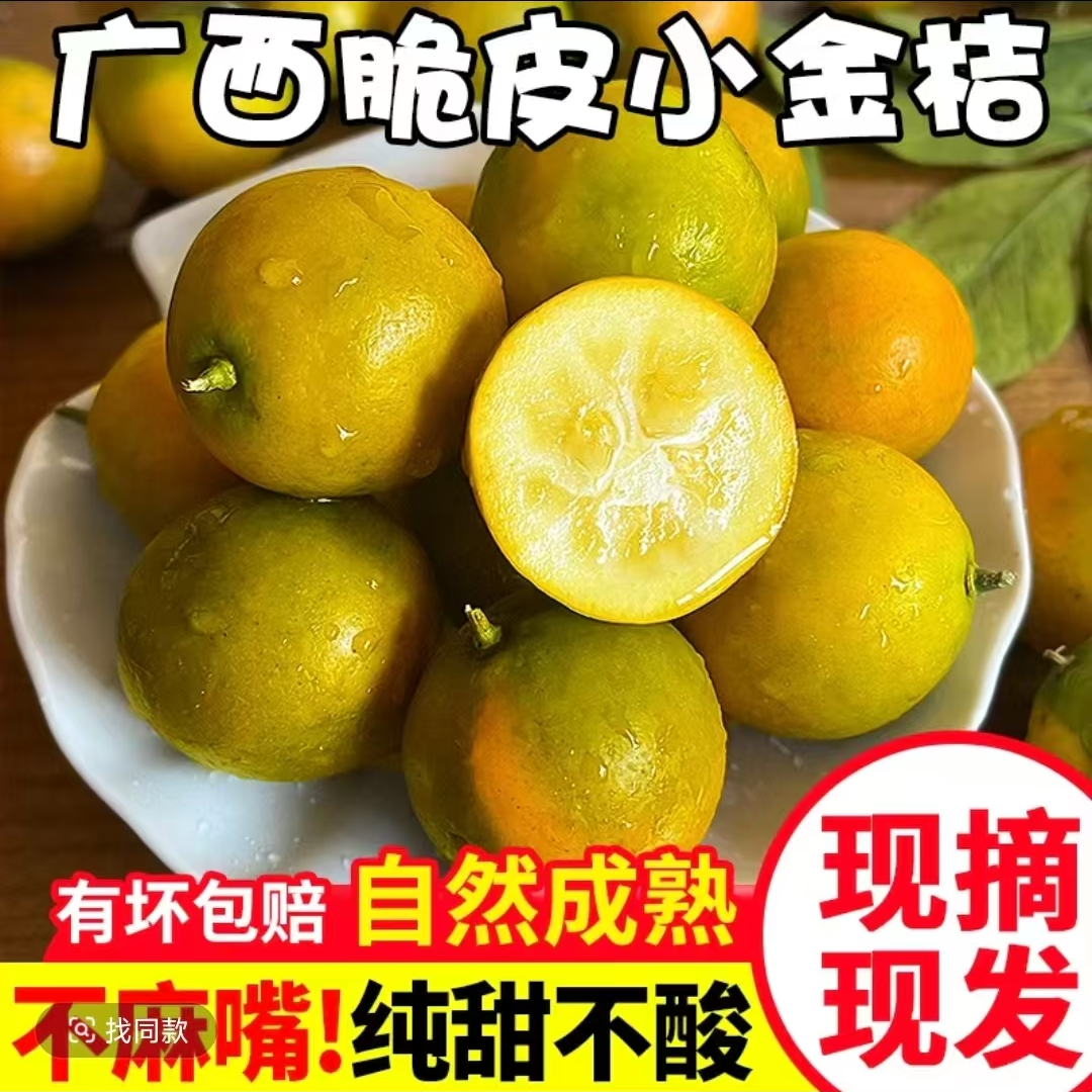 广西二代脆皮金桔滑皮新鲜水果桔子当季冰糖桔皮薄现摘现发