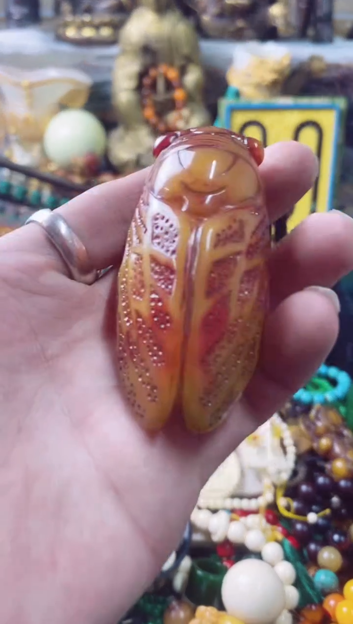 【闪购商品】蜜蜡裸石未镶嵌主播推荐主播推荐