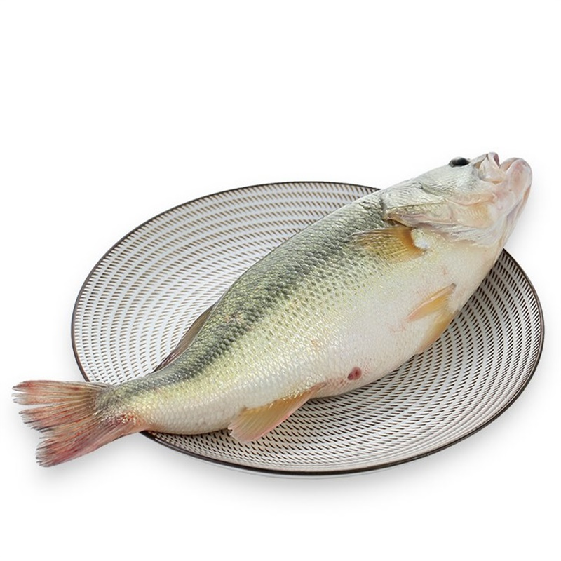 【散】鲈鱼 约550±20g/份 默认清理
