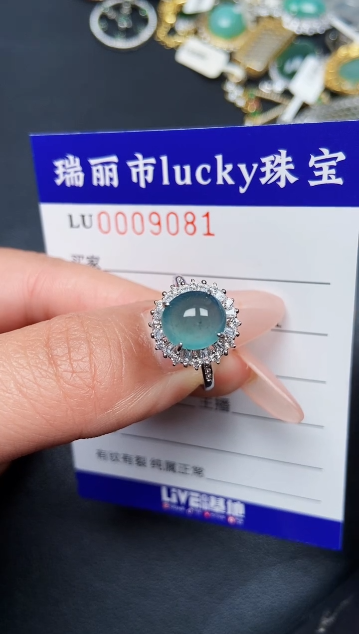 【闪购商品】翡翠颈饰银S925镶嵌9081