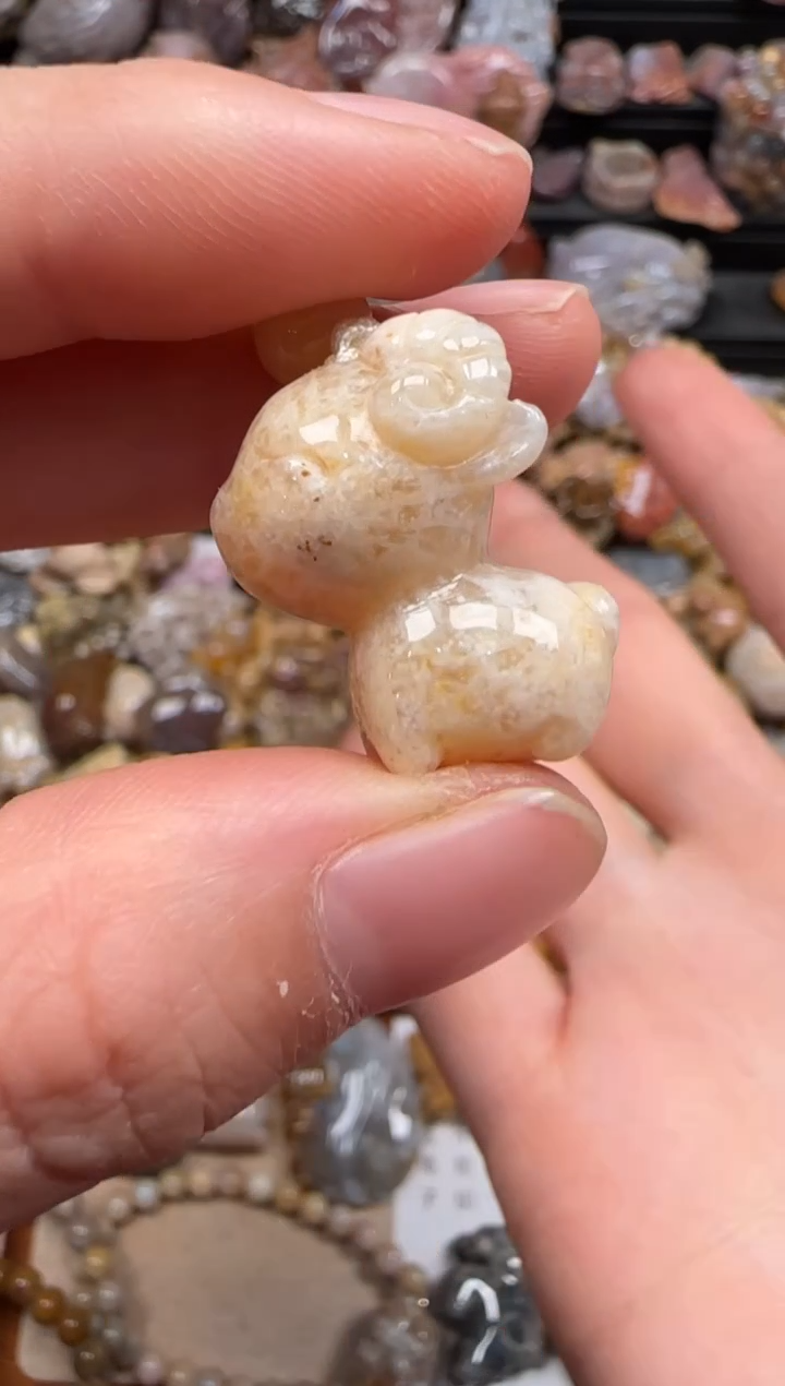 【闪购商品】硅化珊瑚（珊瑚玉）颈饰未镶嵌114