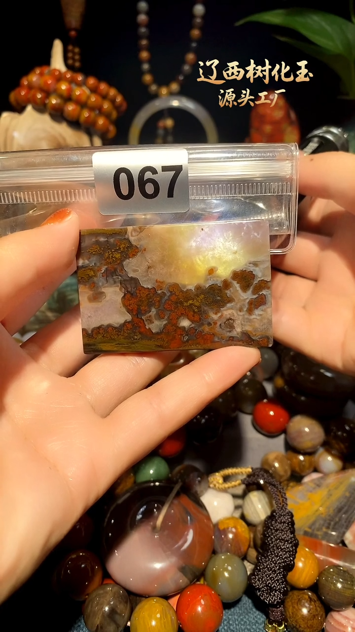 未镶嵌-硅化玉天然北票硅化玉吊坠