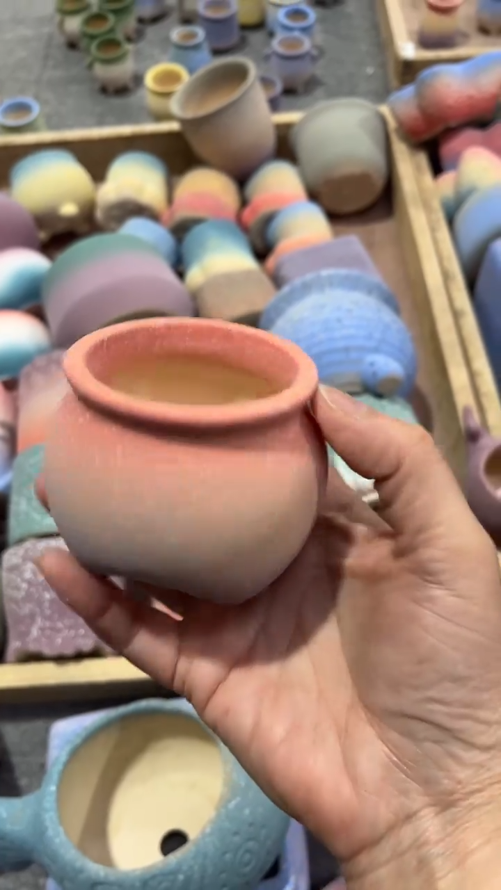 【闪购商品】红陶1111