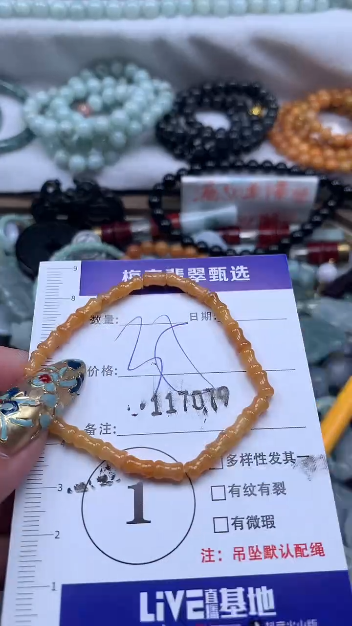 颈饰未镶嵌翡翠1