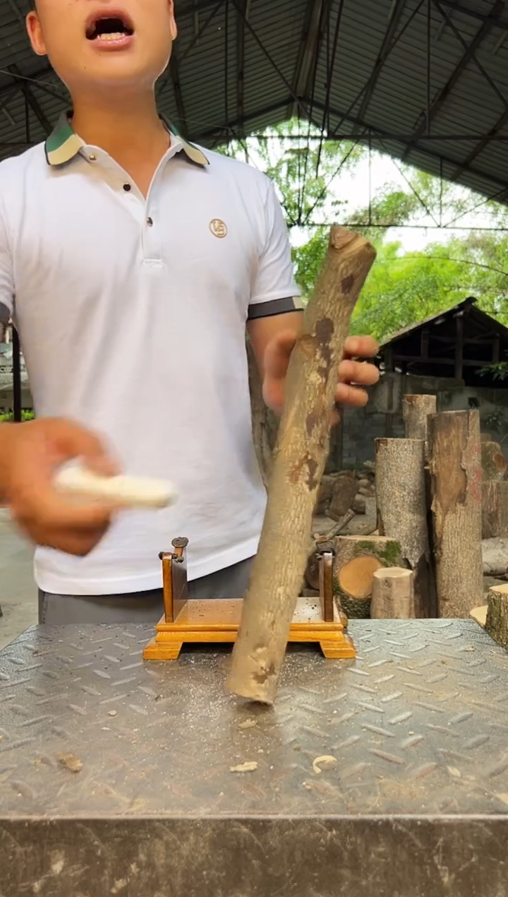 四川小叶桢楠金丝楠