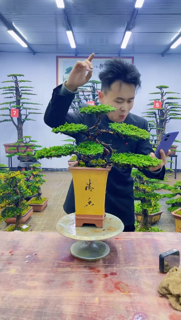 【闪购商品】一物一拍，所见即所得