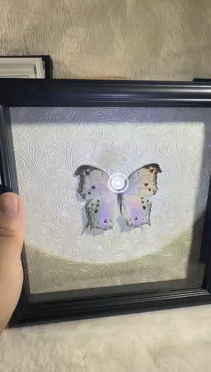 粉色绿背              