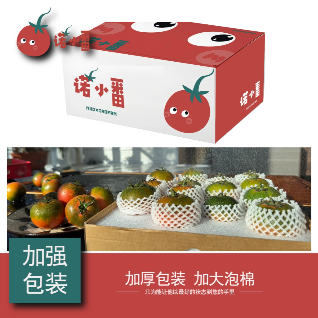 诺小番新店直播间促销碱地番茄(精品5斤装中小果)