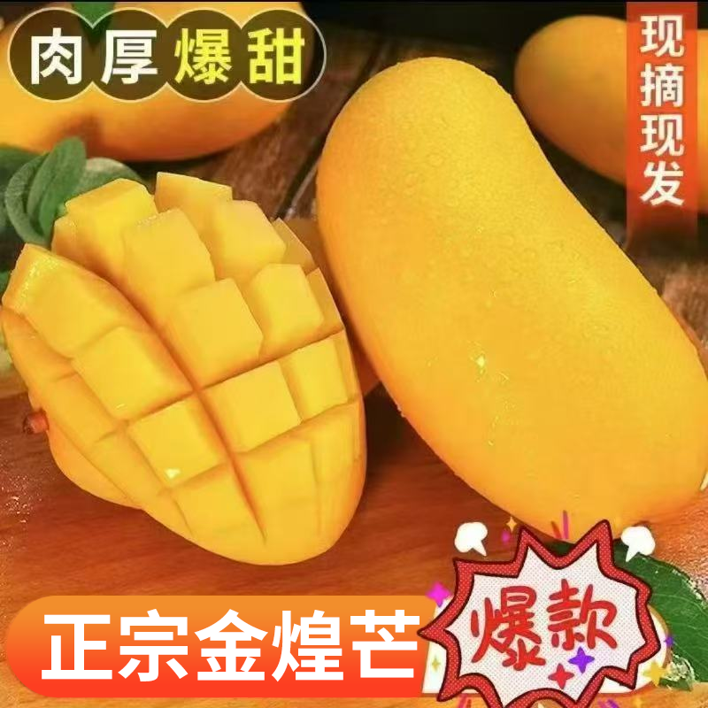 【正宗金煌芒】云南金煌芒黄皮大芒果特大水仙芒大芒果10斤