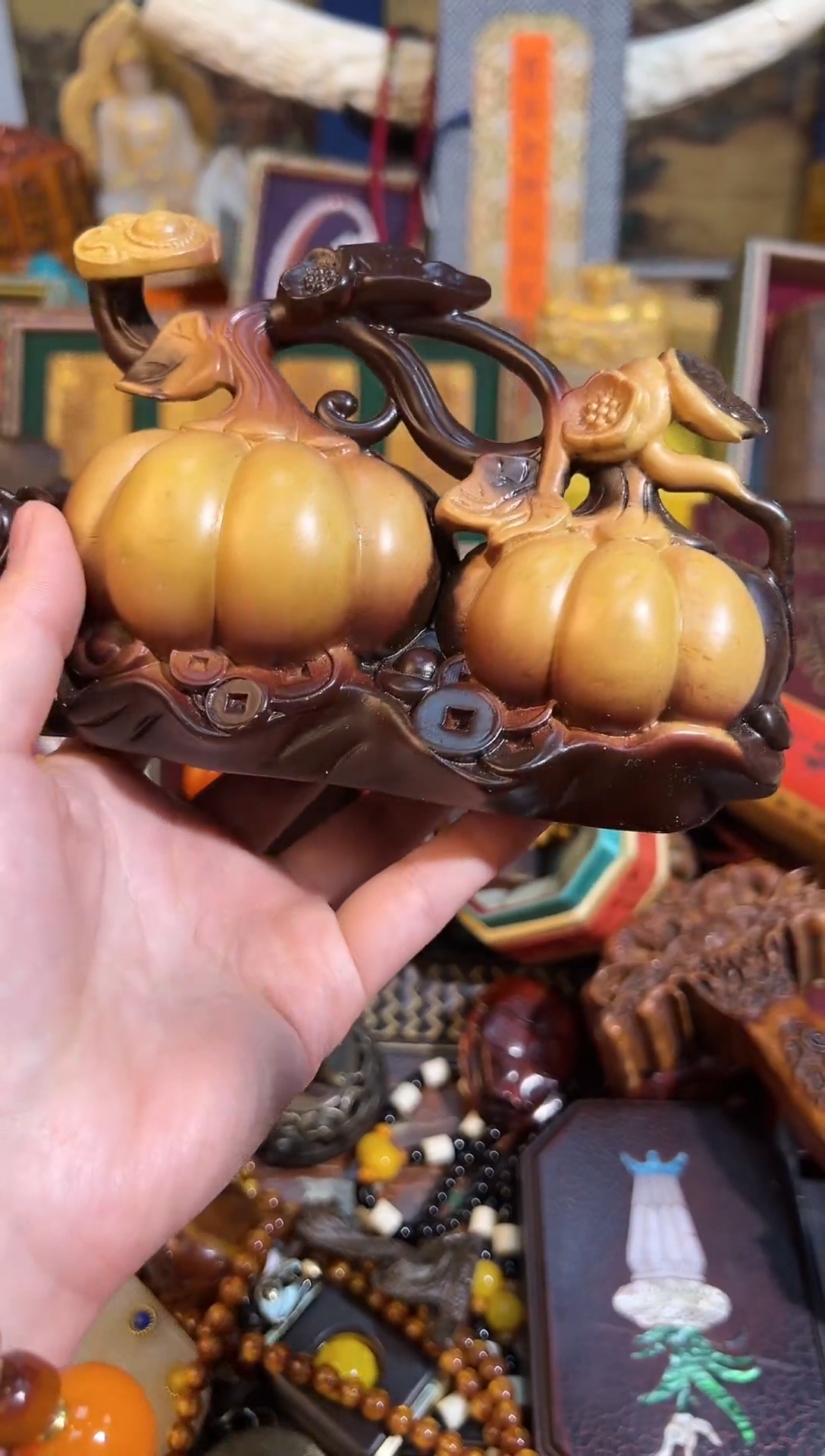 【闪购商品】香榧木14凯凯凯凯凯凯凯凯