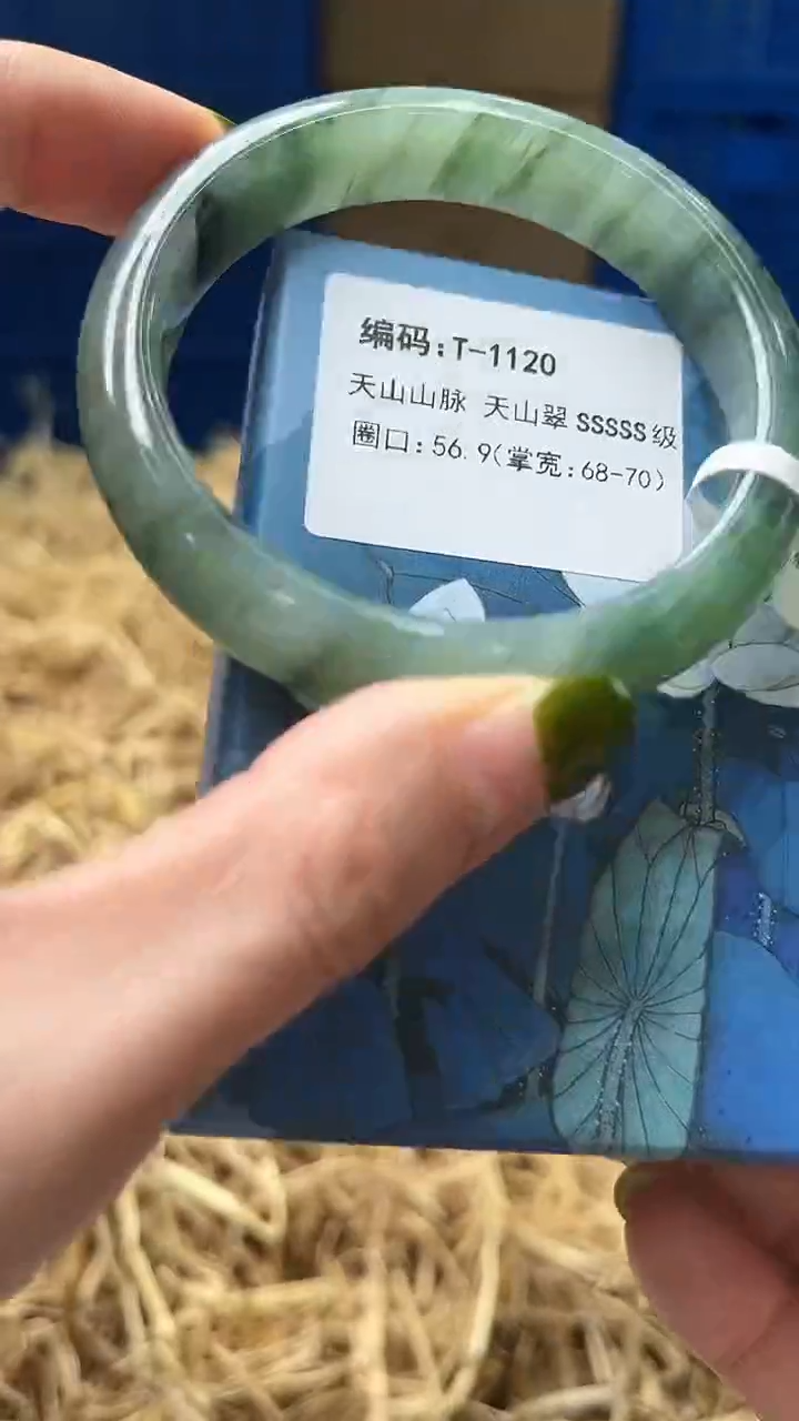 未镶嵌手镯石英质玉T1120