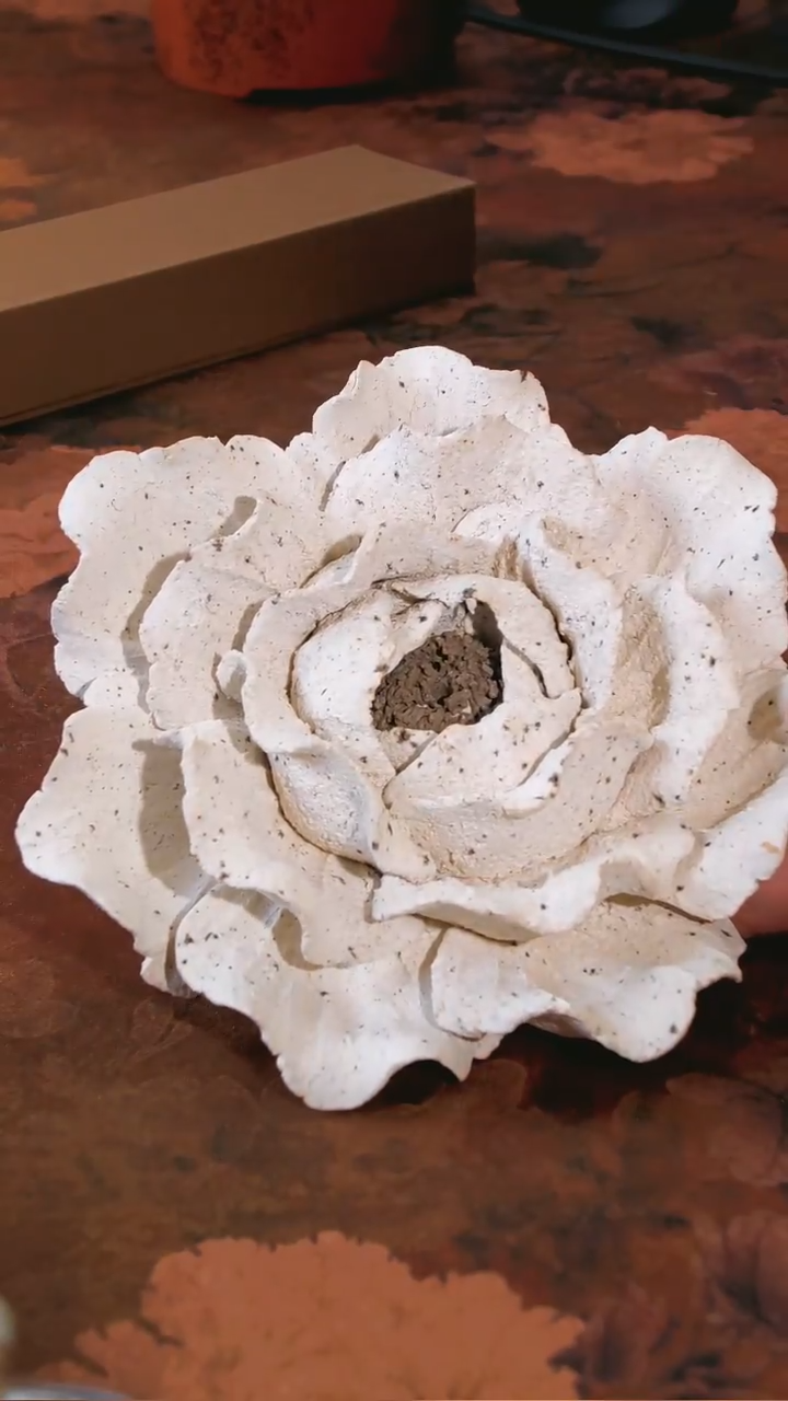 【闪购商品】香插’‘’‘’‘’‘