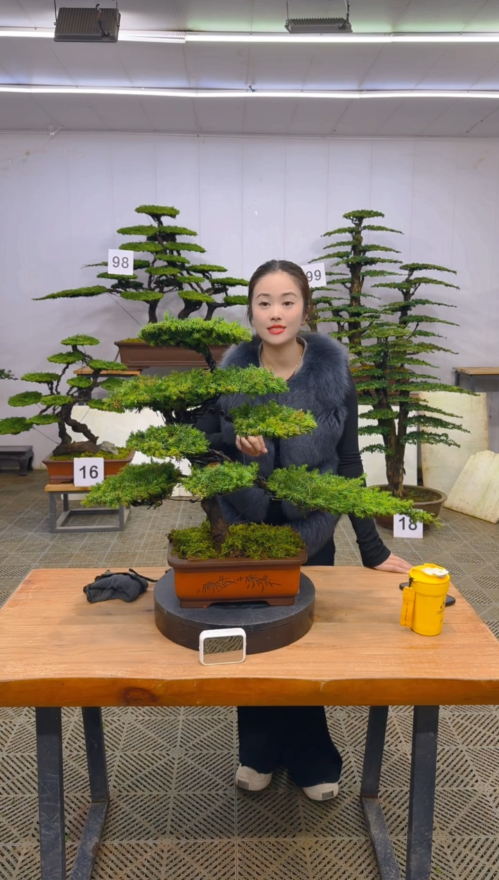 无花朵一物一拍一物一拍