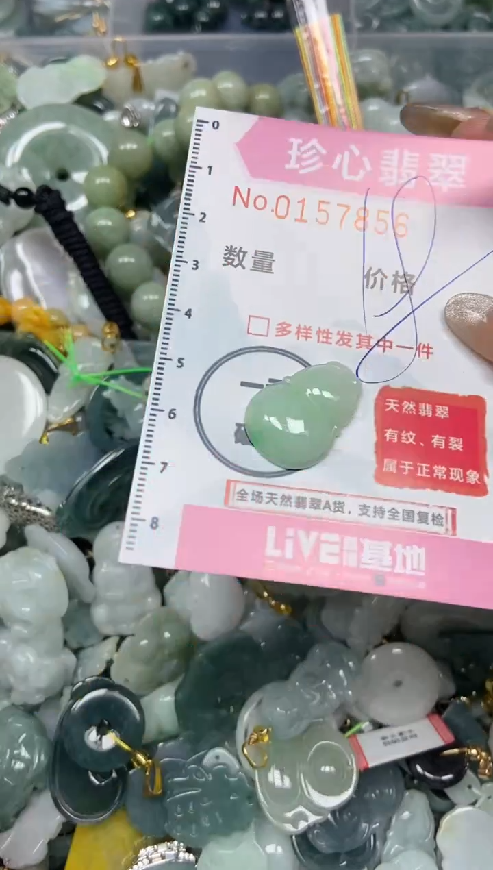 【闪购商品】翡翠颈饰未镶嵌闪购0157856