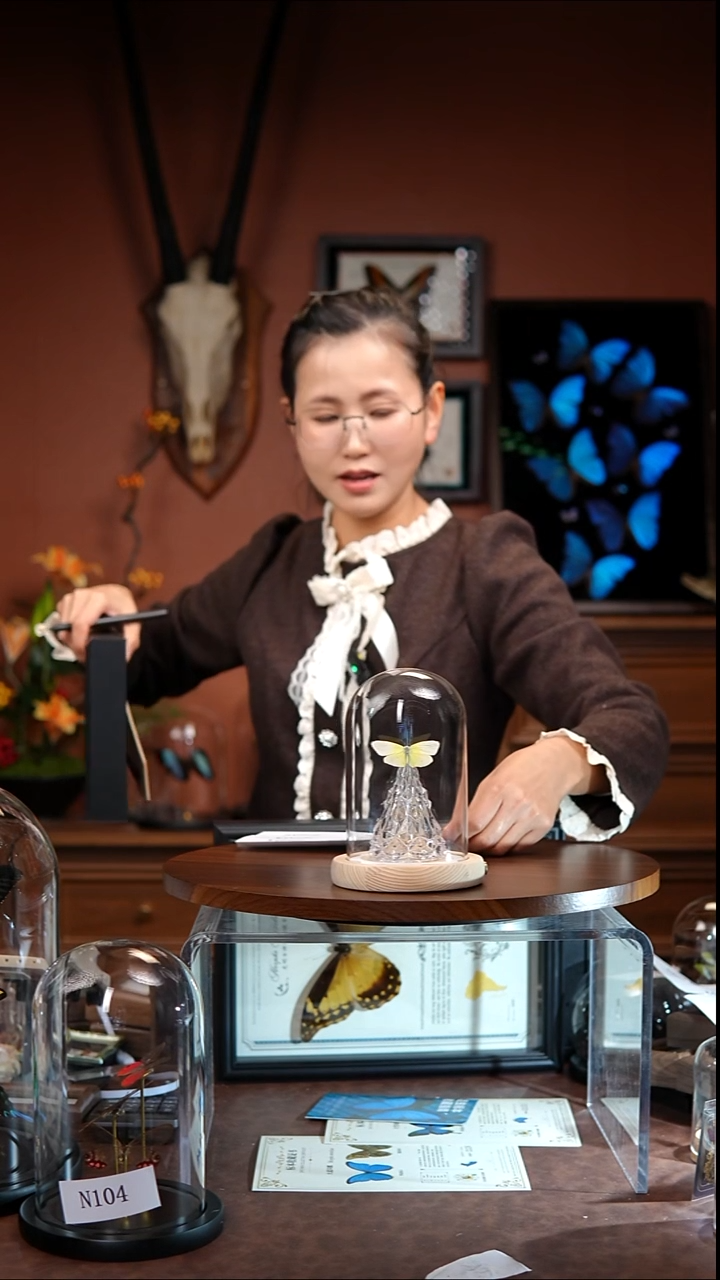 云**月迁粉蝶  玻璃罩款  带灯