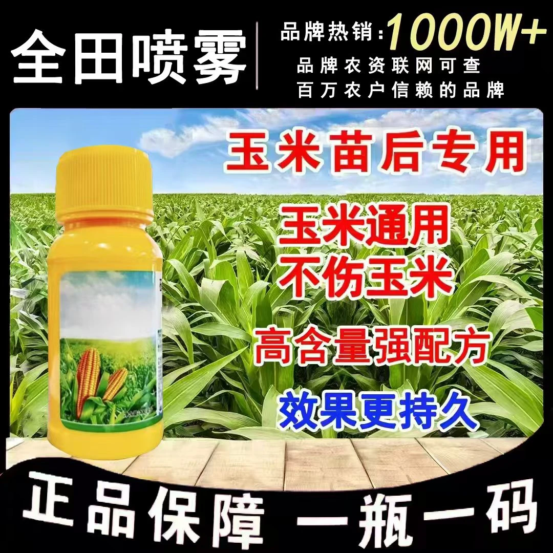 正品保障玉米地苗后玉米专用不伤玉米持久高效