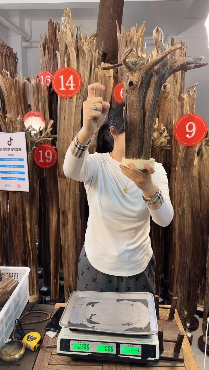 【闪购商品】沉香摆件沉香摆件多样性发一件76