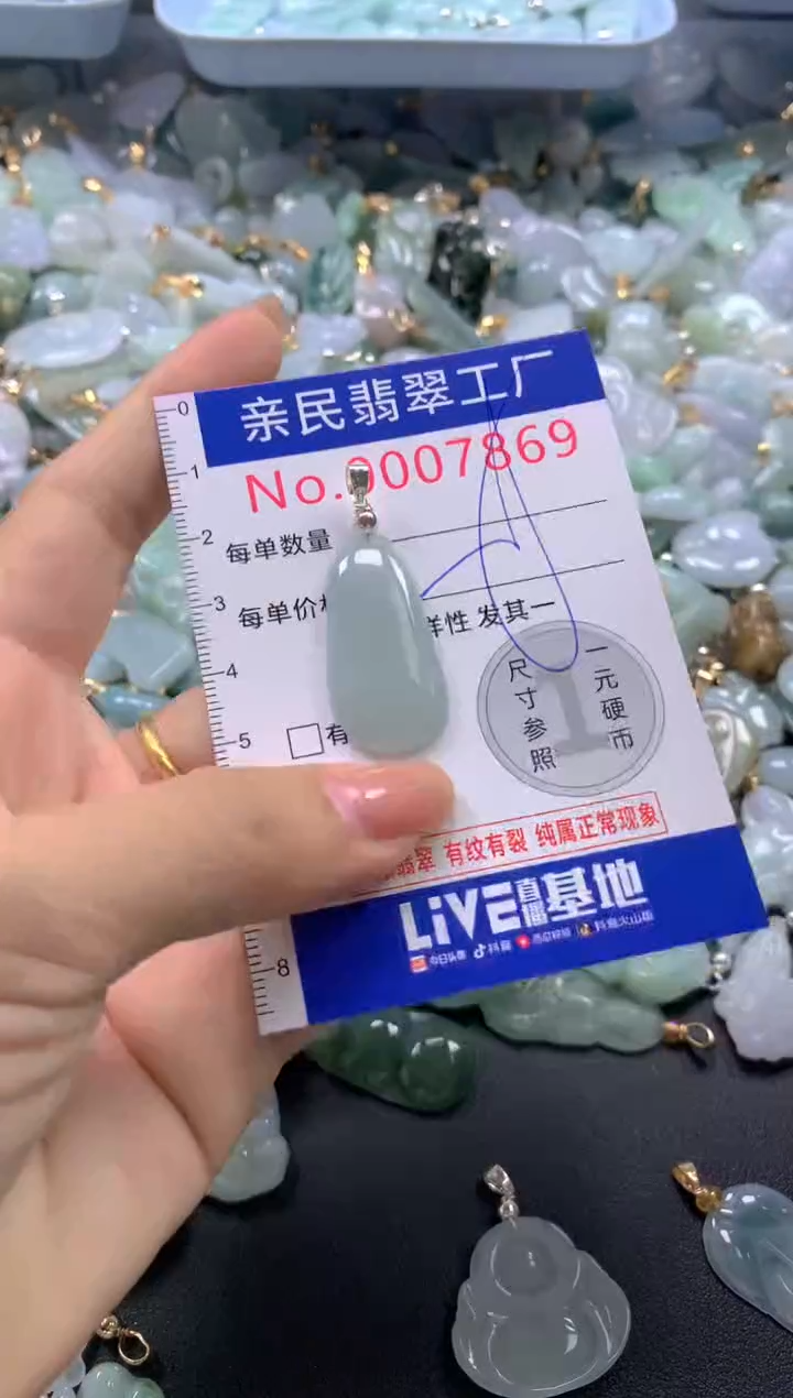 颈饰未镶嵌翡翠7869