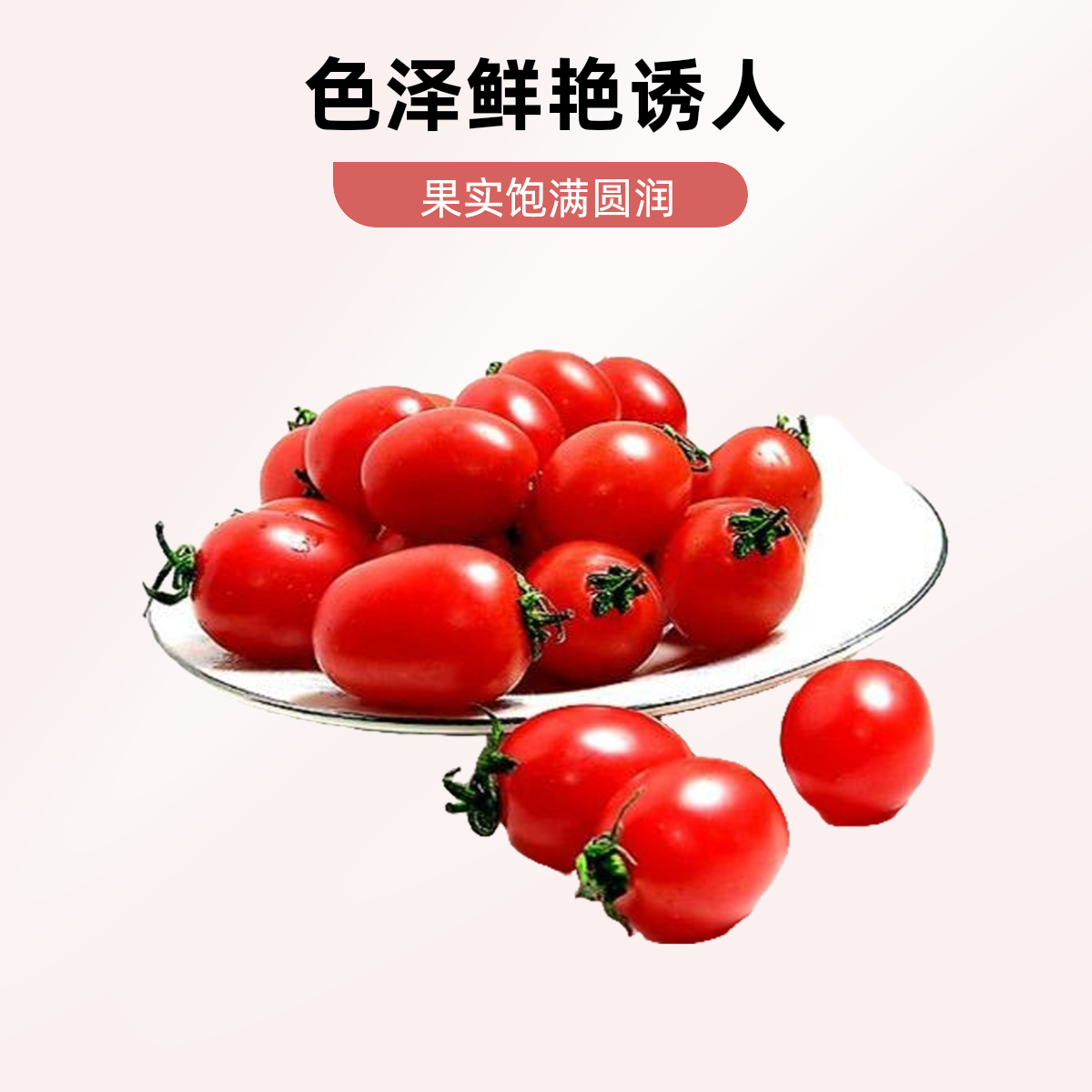 红色小西红柿2斤北京次日达北京市