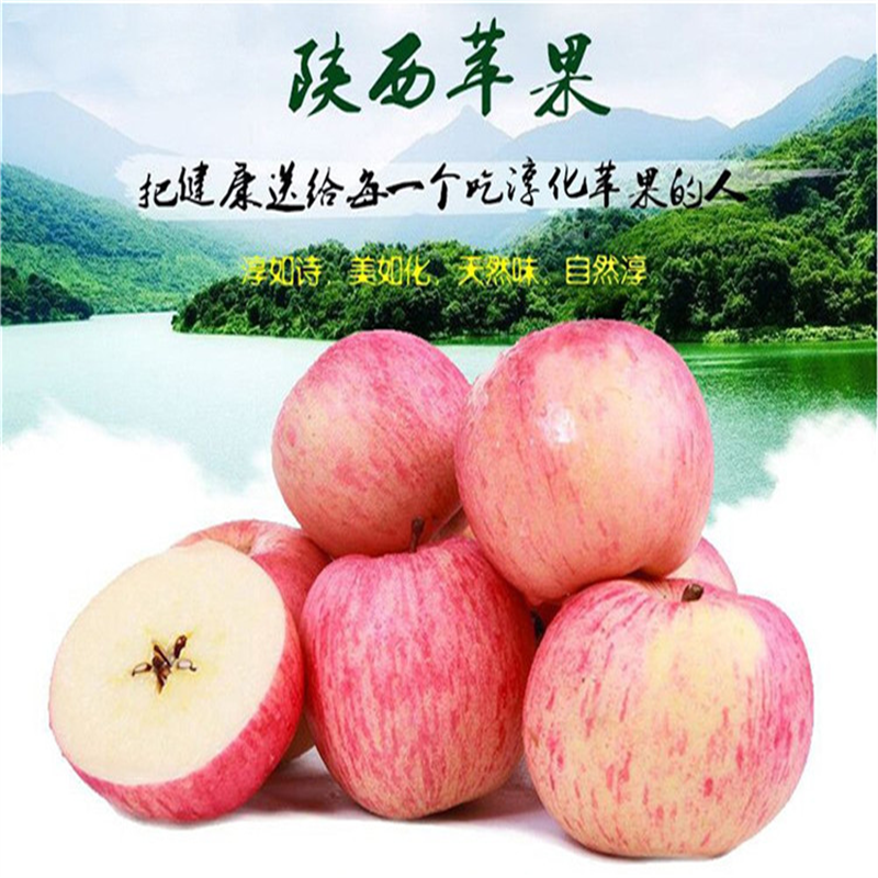 陕西淳化红富士苹果当季新鲜脆甜多汁带冰糖心