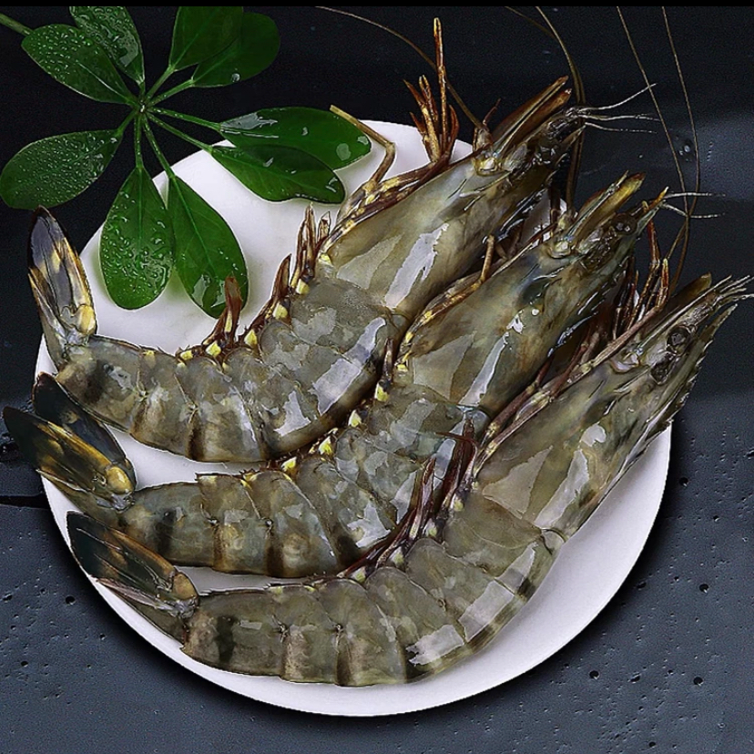 16/20规格 鲜活速冻大号黑虎虾 净重2斤 （16-20只）/盒  自然生长 野生深海捕捞 肉质鲜嫩