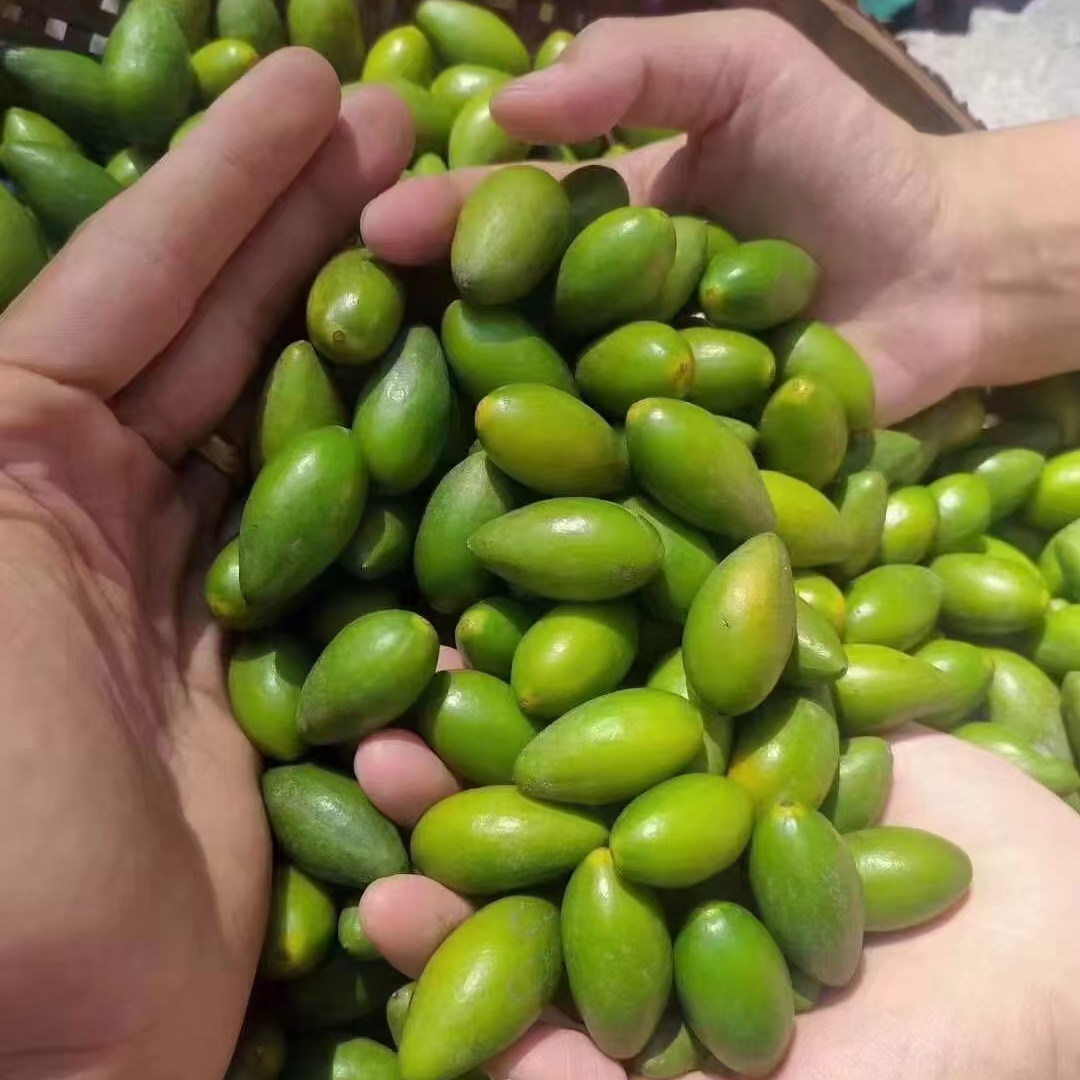 莆田特产新鲜橄榄可生吃煲汤孕妇甜鲜水果