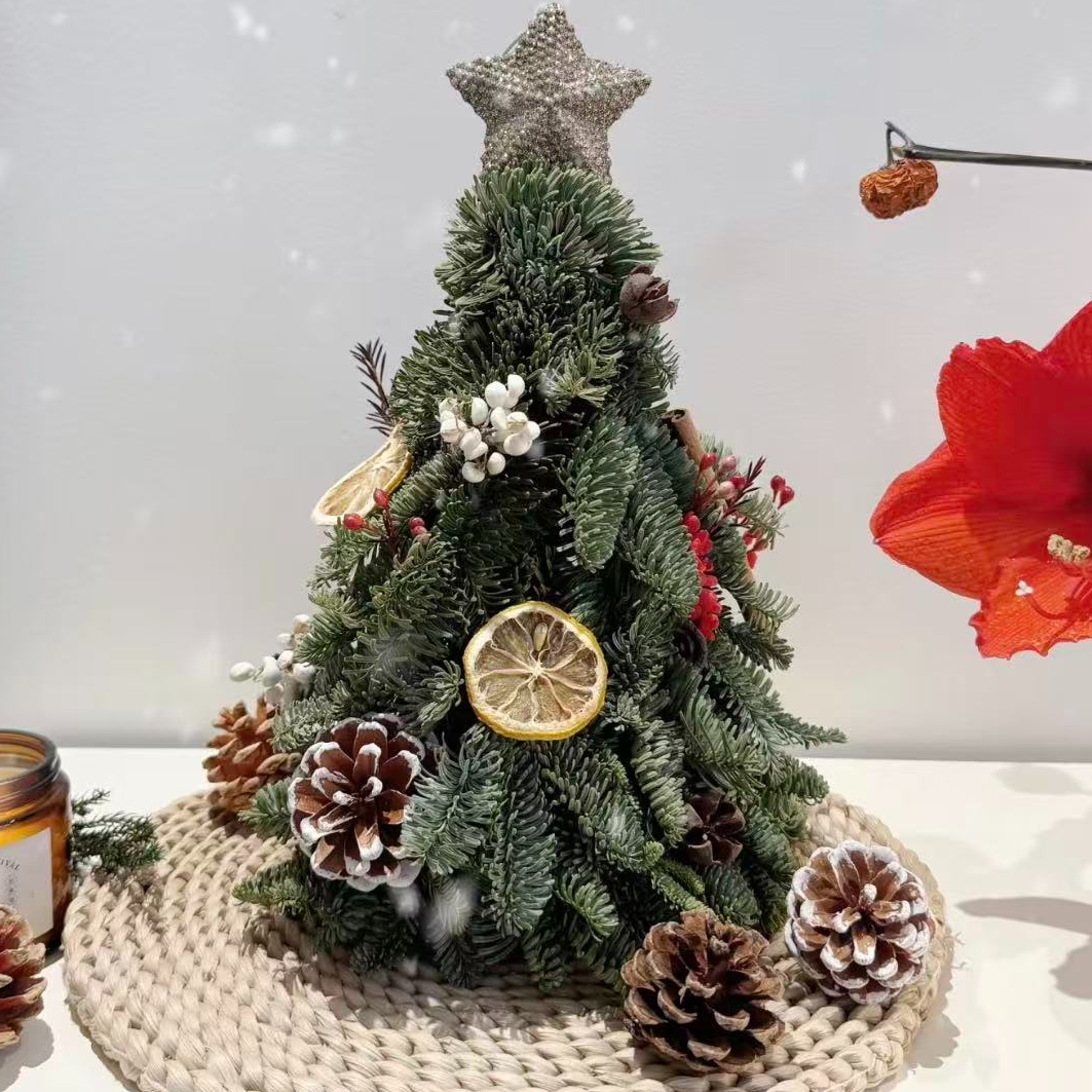 【高 25cm，含配饰】精选诺贝松荷兰圣诞树包邮家用鲜花
