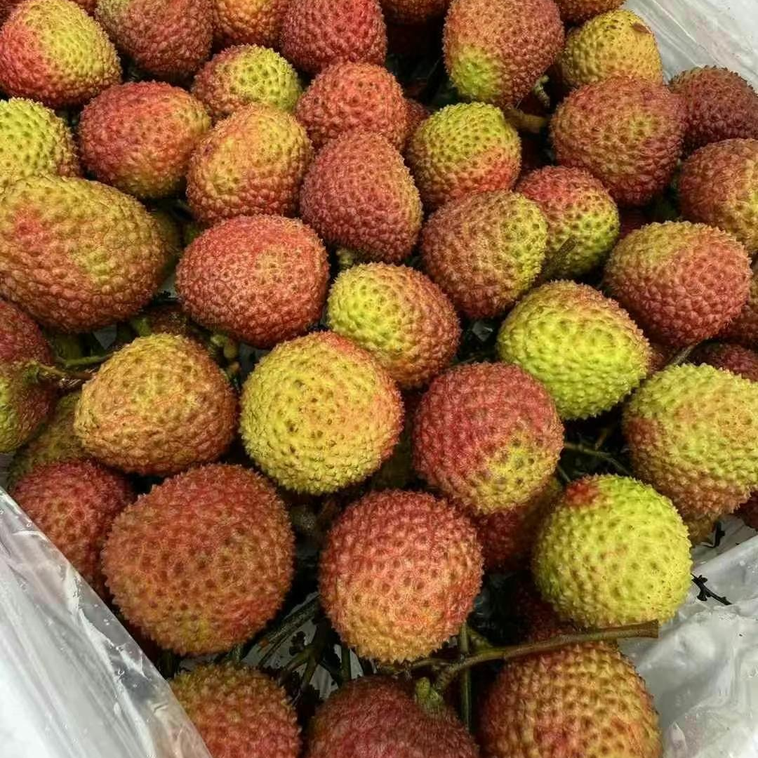 【双福翠宝宝】佳丰妃子笑 树熟高甜 皮薄核小 只发川渝