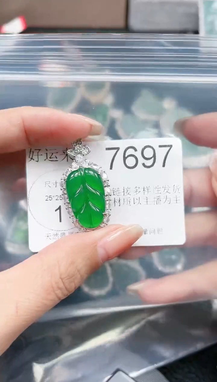 【闪购商品】翡翠颈饰未镶嵌7697赠皮绳