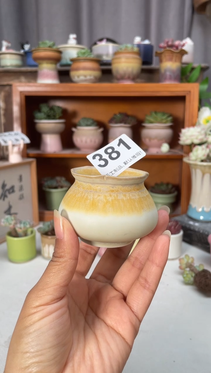 瓷片381小芳直播编号