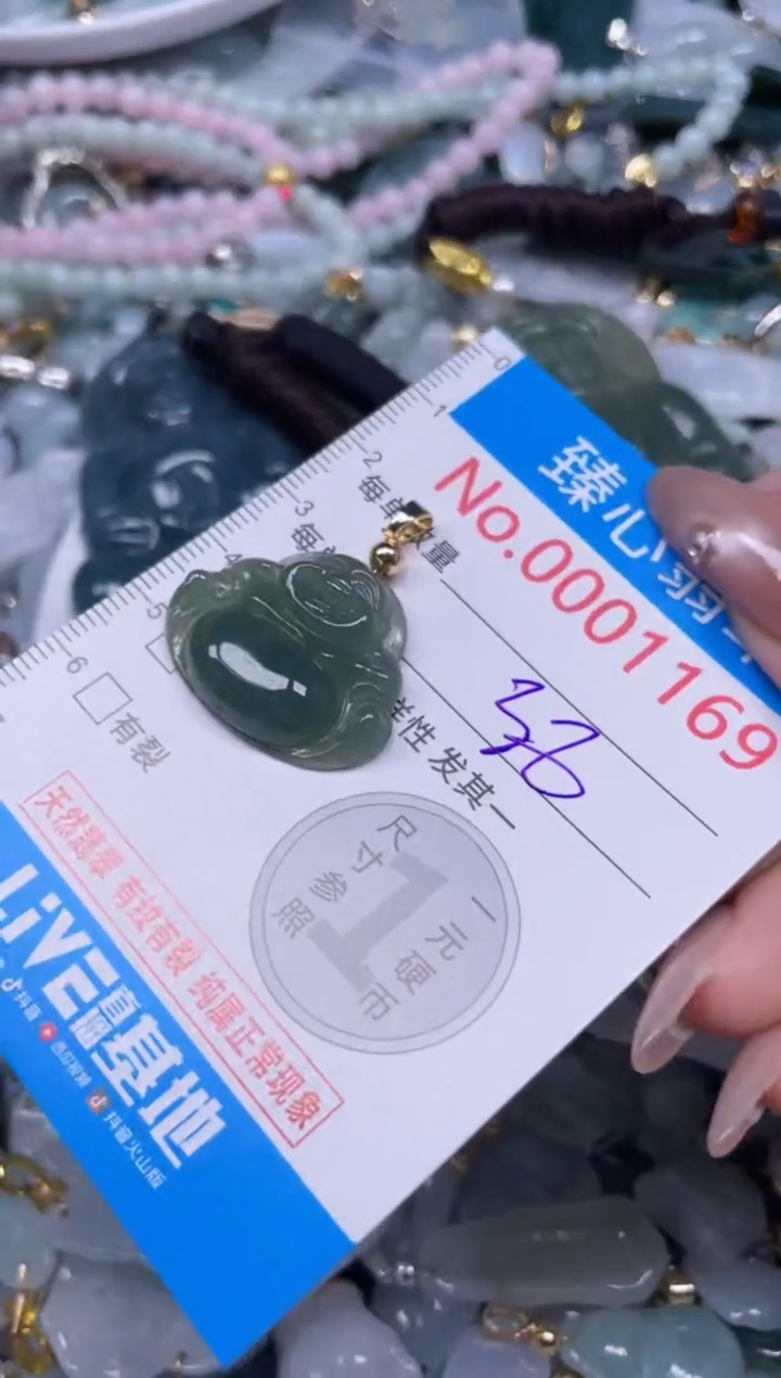 颈饰未镶嵌翡翠1169