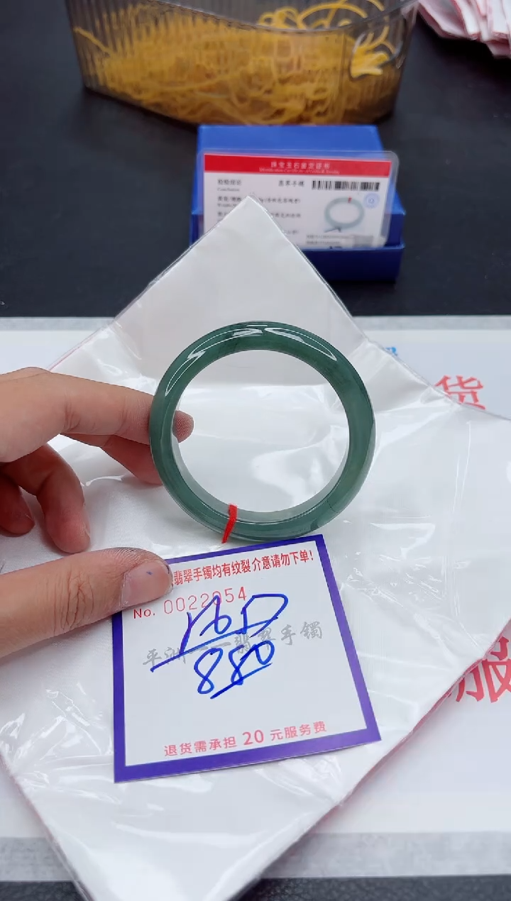 未镶嵌手镯翡翠1